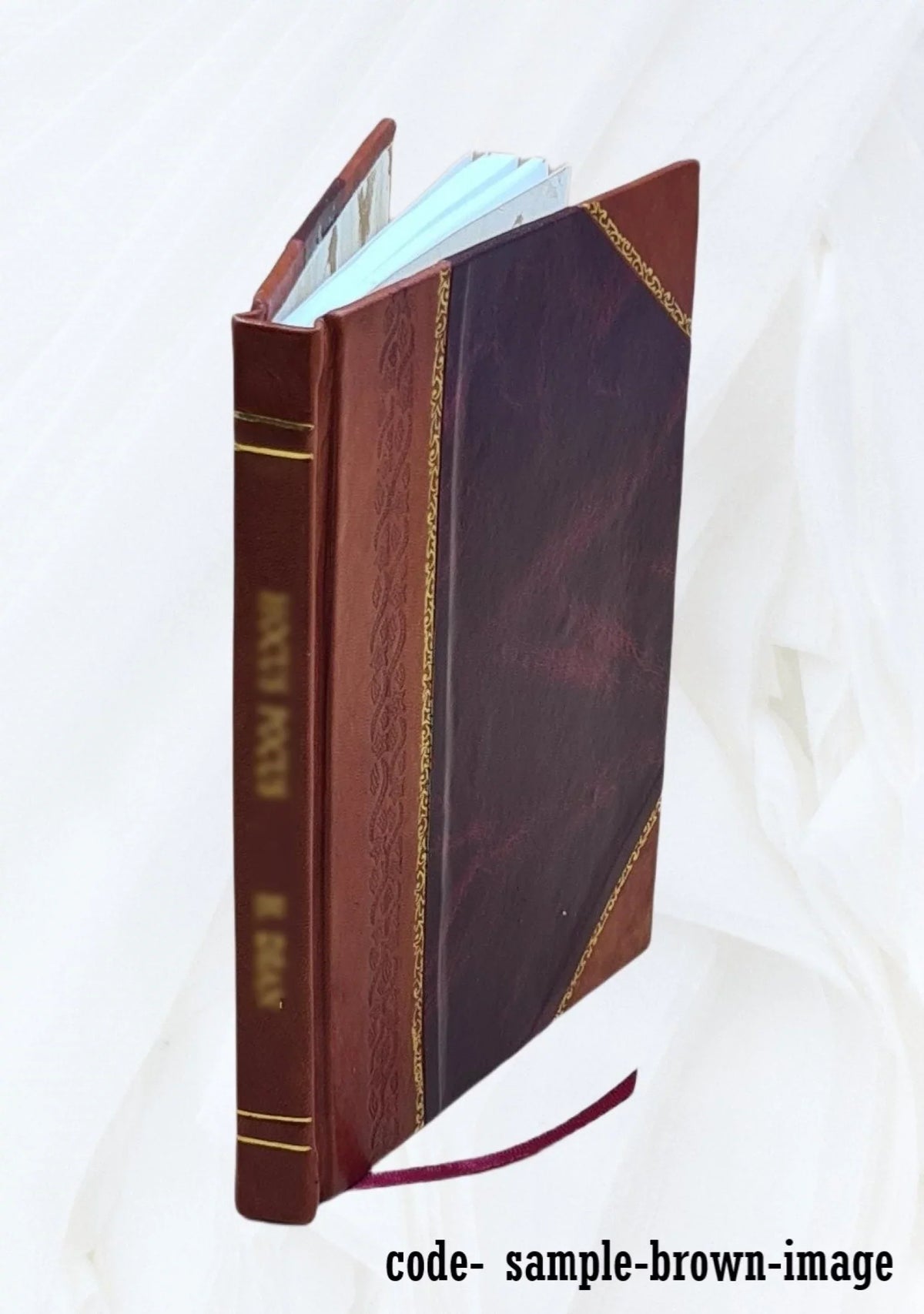 Excerpta e fragmentis [by J.B.]. 1857 [Leather Bound]