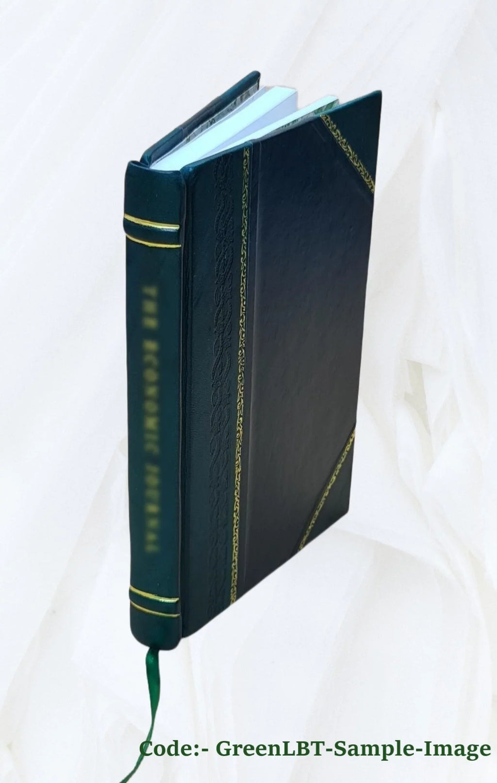 Pigeon River County state forest, potential hydrocarbon development : environmental impact statement. Volume D 1975 [Leather Bound]