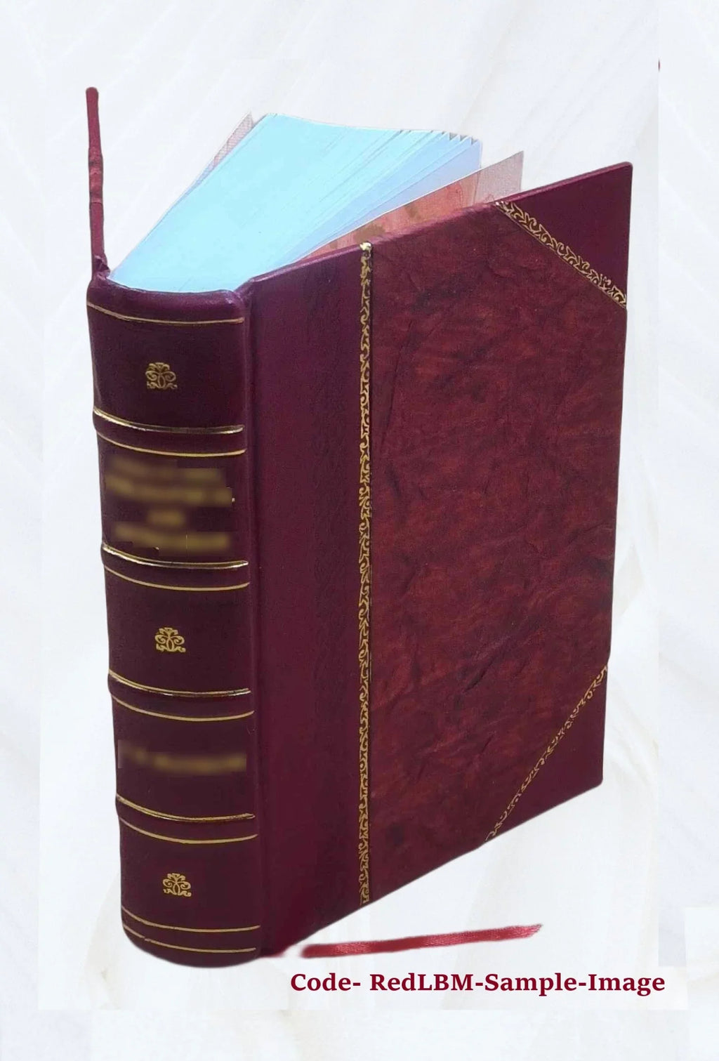 Gun and camera in southern Africa; a year of wanderings in Bechuanaland, the Kalahari Desert, and the Lake River country, Ngamiland, 1893 [Leather Bound]