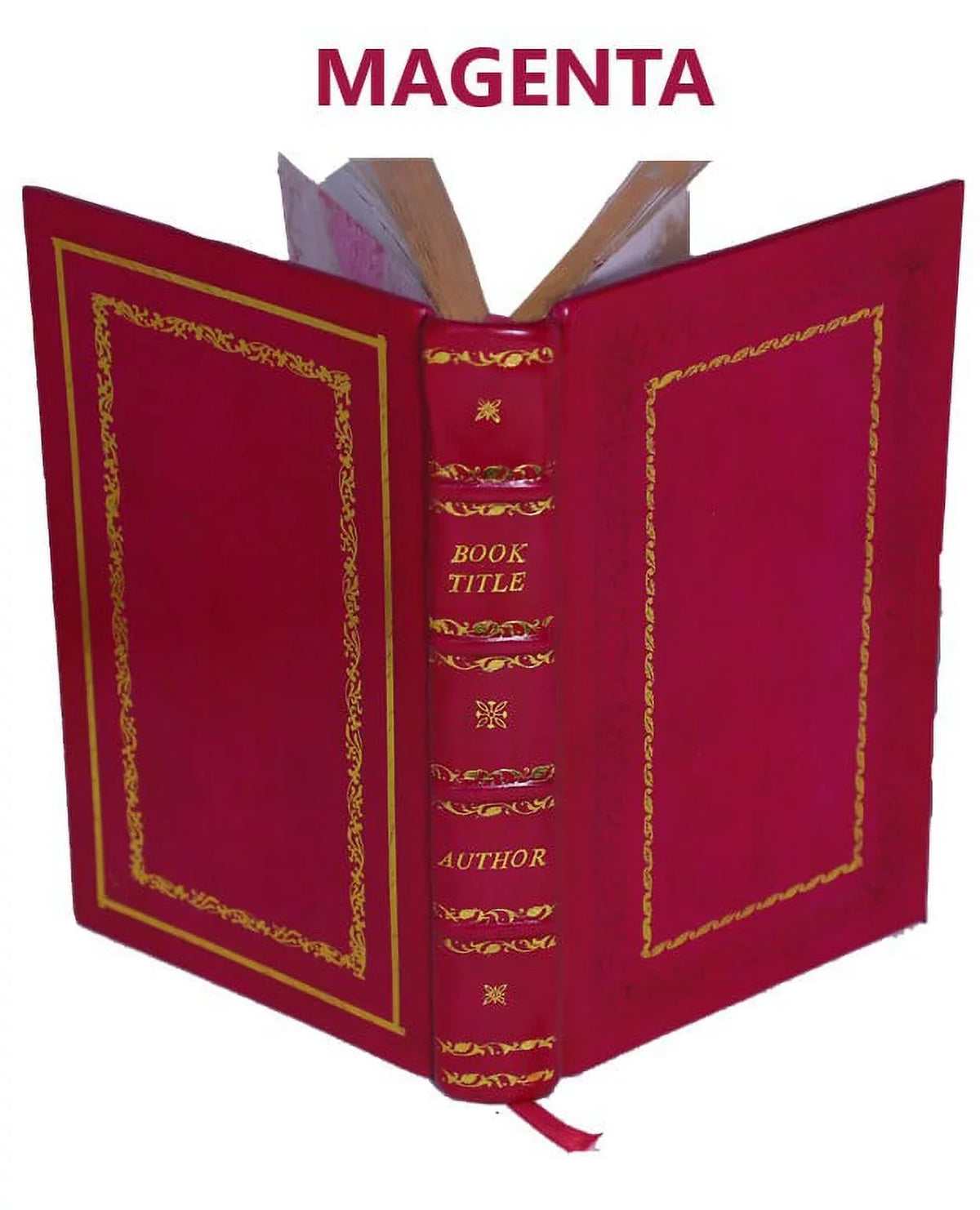 Through the eternal Spirit a biblical study on the Holy Ghost 1896 [Premium Leather Bound]