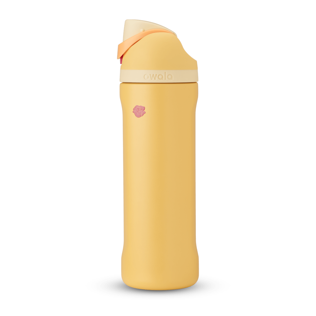 Disney Princess Collection